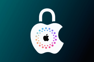Apple  iCloud Status Check - Clean / Lost Mode Check by IMEI