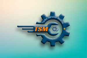 TSM-Pro 1 Year Activation (Instant)✅ 